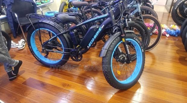 Eco Bike Electric Fat Bike