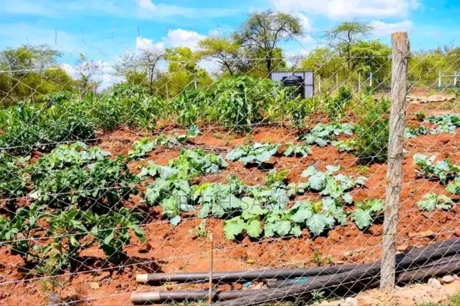 Plots In Makutano-mwea @250k