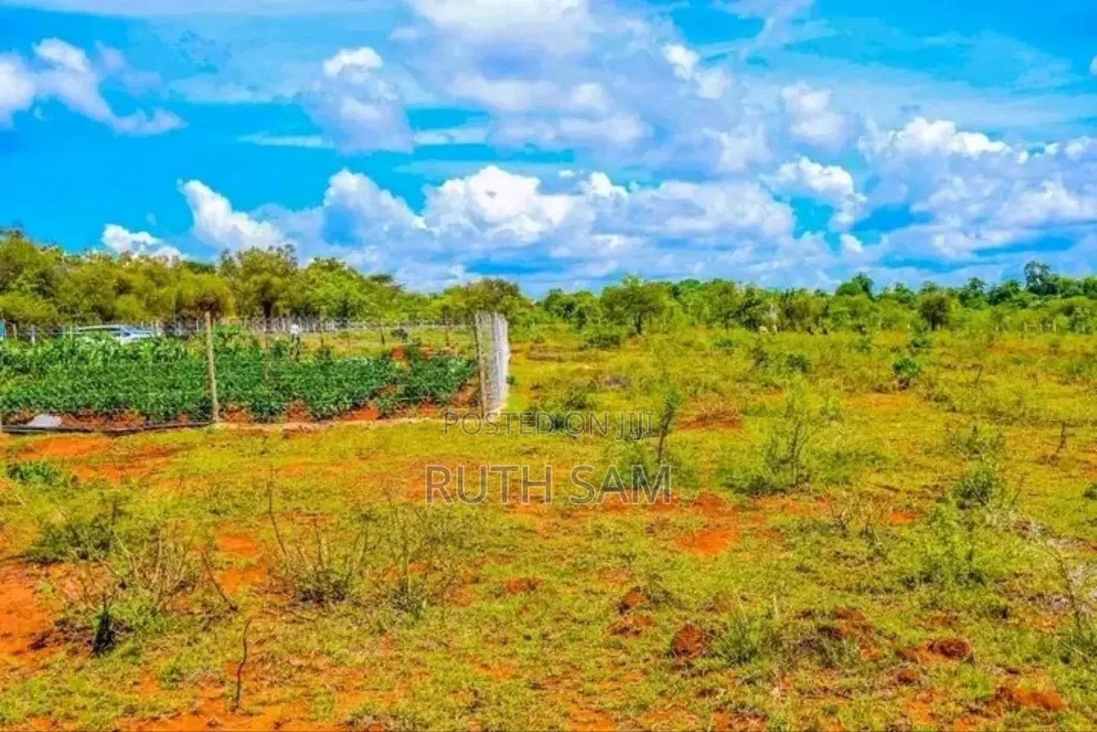 Plots In Makutano-mwea @250k