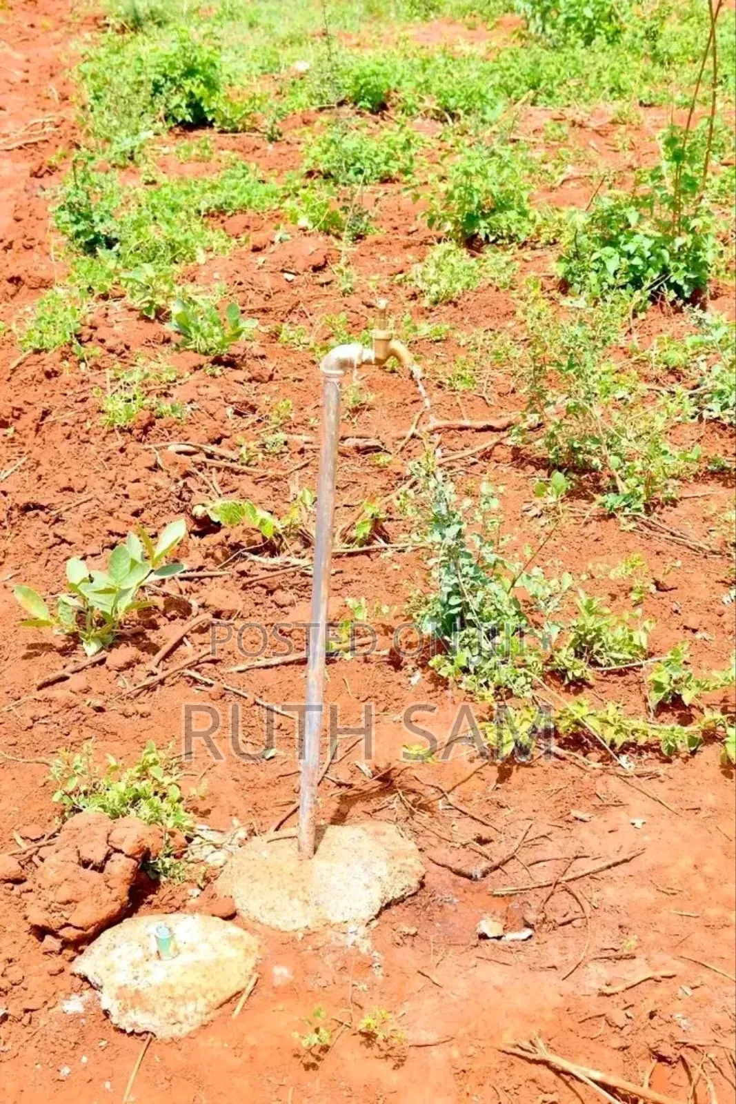 Plots In Makutano-mwea @250k