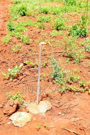 Plots In Makutano-mwea @250k
