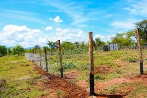 Plots In Makutano-mwea @250k