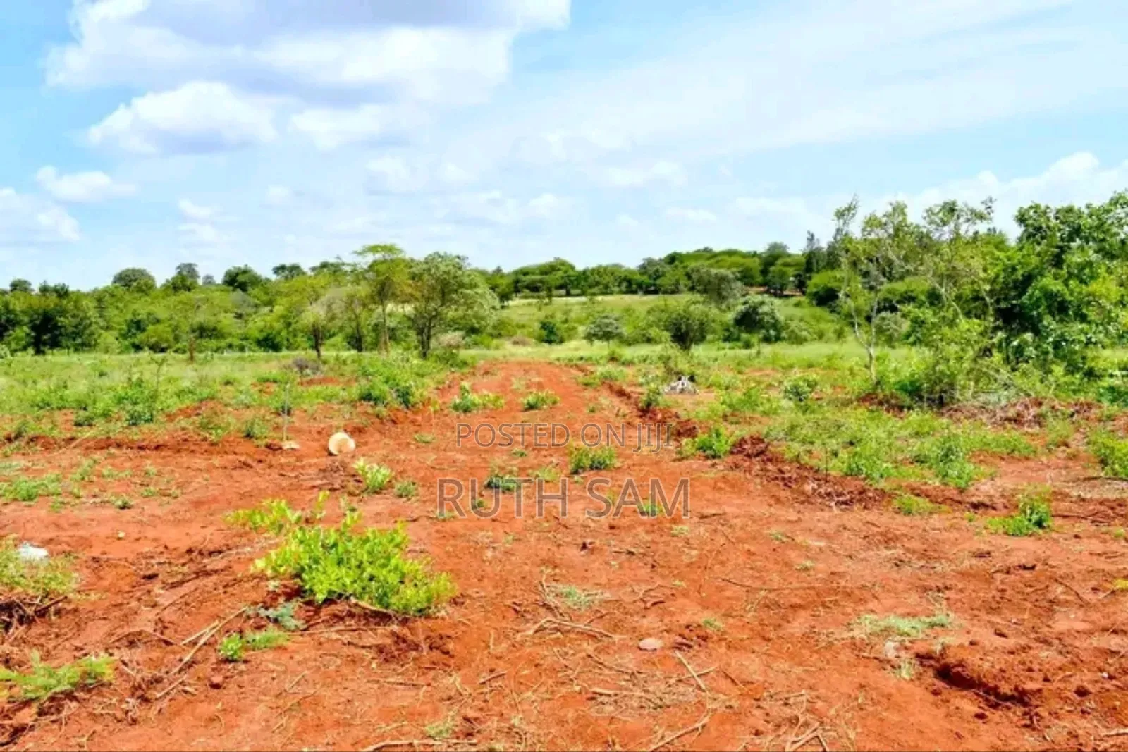 Plots In Makutano-mwea @250k