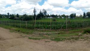 1/2 Acre Muchorwe, Njoro - thumbnail 2