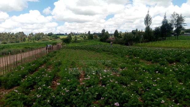 1/2 Acre Muchorwe, Njoro - thumbnail 3