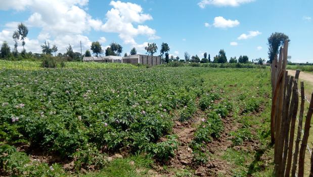 1/2 Acre Muchorwe, Njoro - thumbnail 4