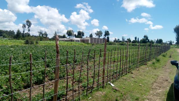 1/2 Acre Muchorwe, Njoro - thumbnail 6