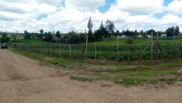 1/2 Acre Muchorwe, Njoro - thumbnail 7