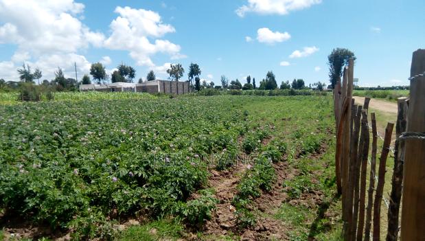 1/2 Acre Muchorwe, Njoro - thumbnail 8