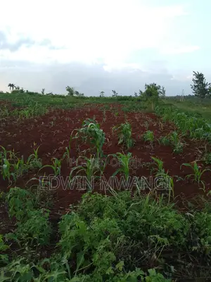 1⁄8th Acre For Sale At Kangema Farmland Neighboring Thika Greens.