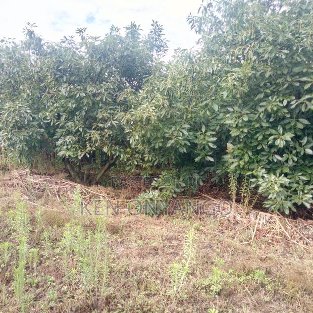 1 Acre for Sale in Sosiot, Njoro