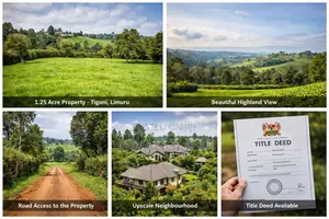 Invest in Tigoni: 1.25-Acre Scenic Land With Clear Title