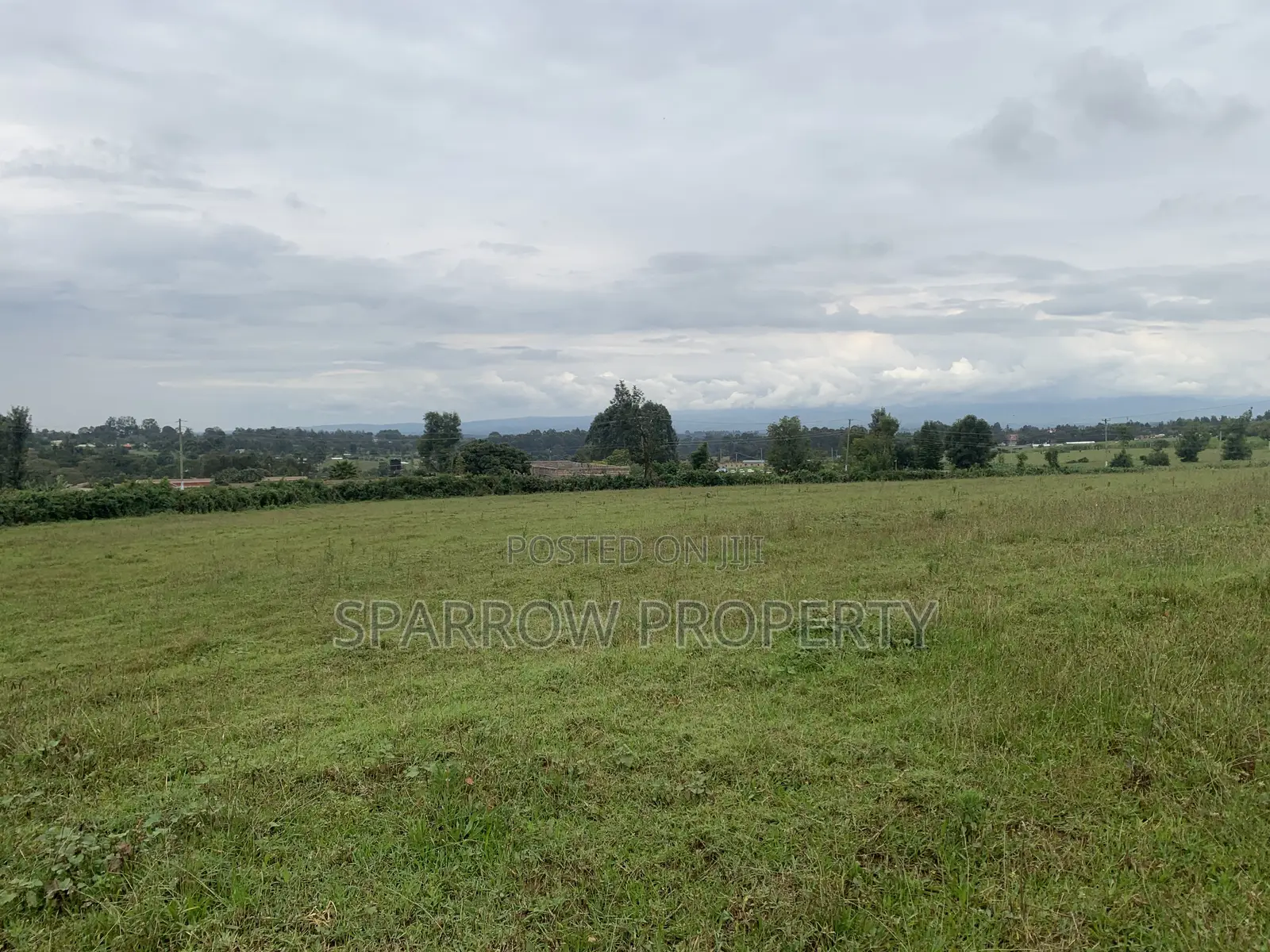 Kitale Town 3 Acre Plot for Sale