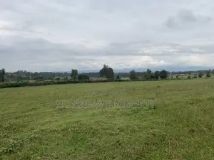 Kitale Town 3 Acre Plot for Sale
