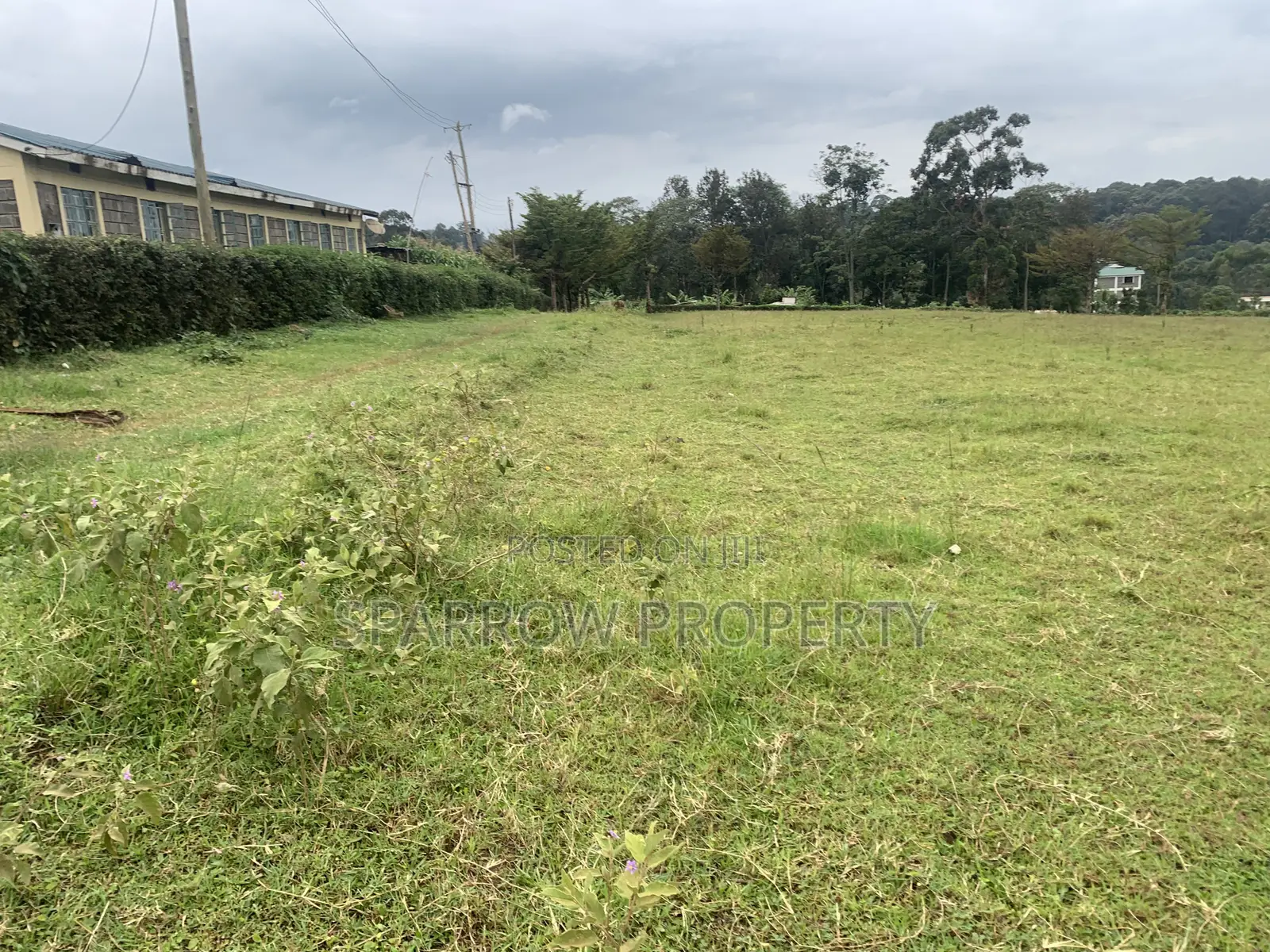 Kitale Town 3 Acre Plot for Sale