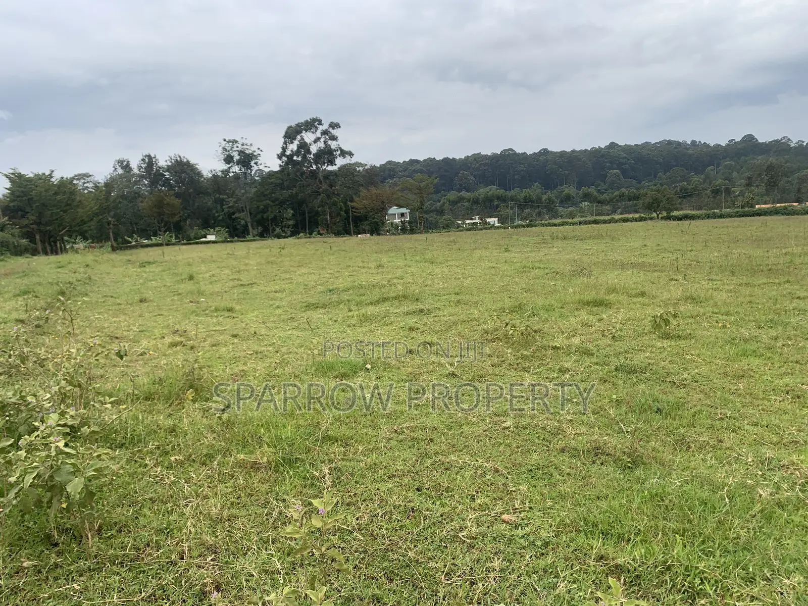Kitale Town 3 Acre Plot for Sale