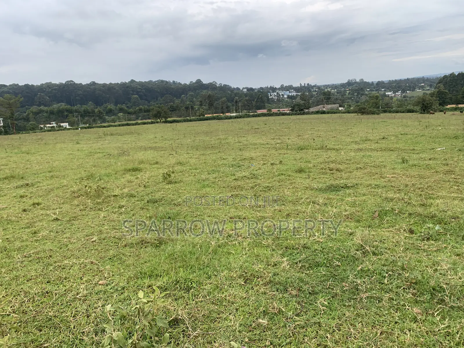 Kitale Town 3 Acre Plot for Sale