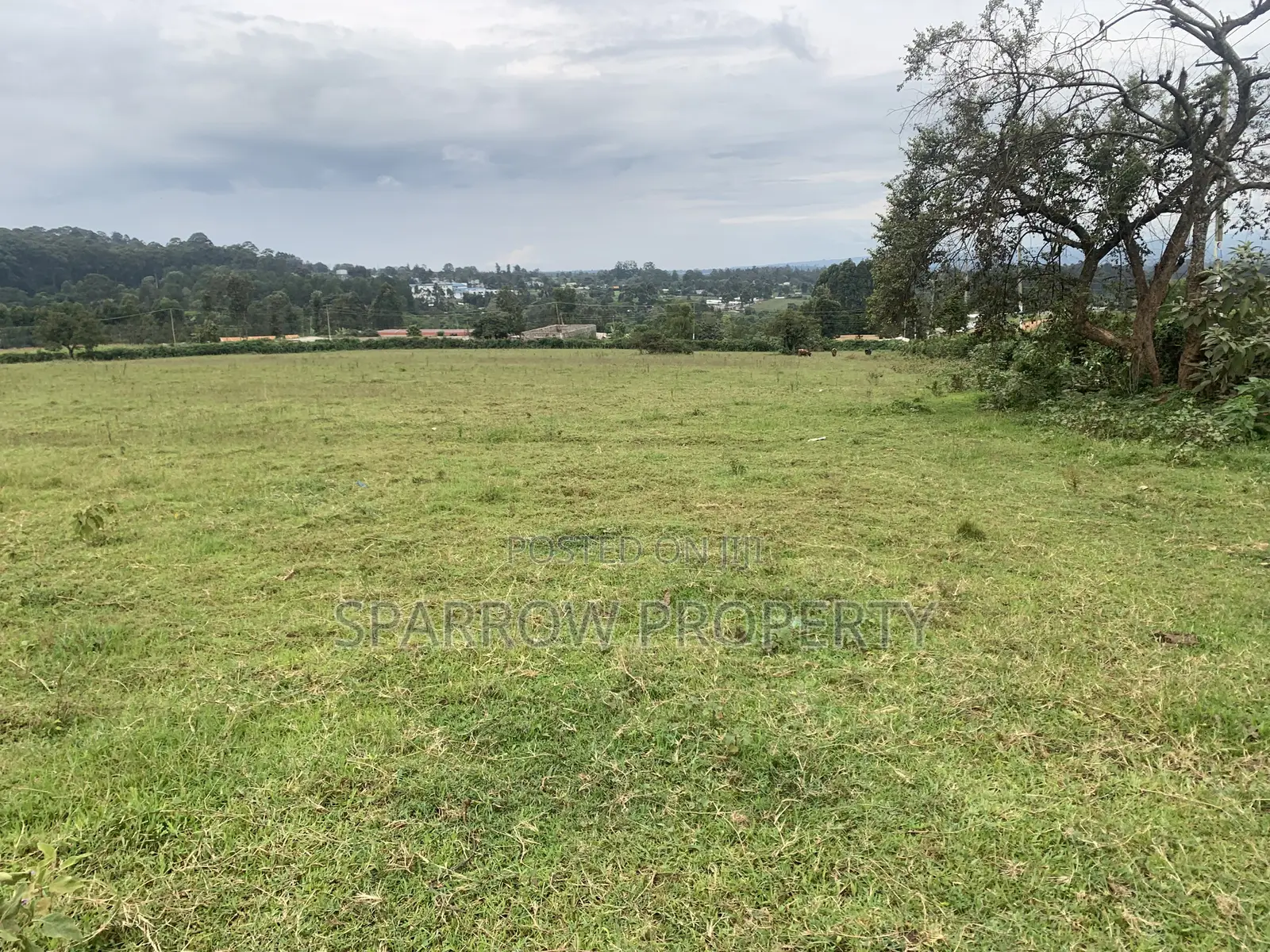 Kitale Town 3 Acre Plot for Sale