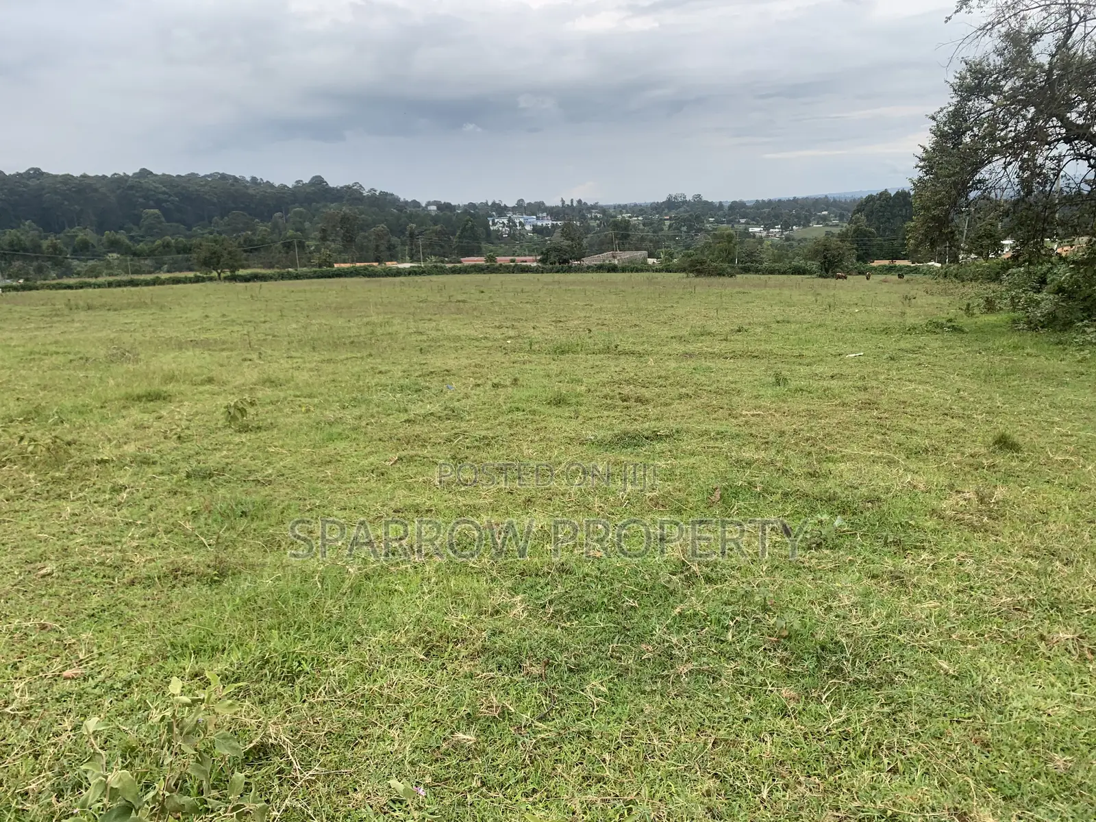 Kitale Town 3 Acre Plot for Sale