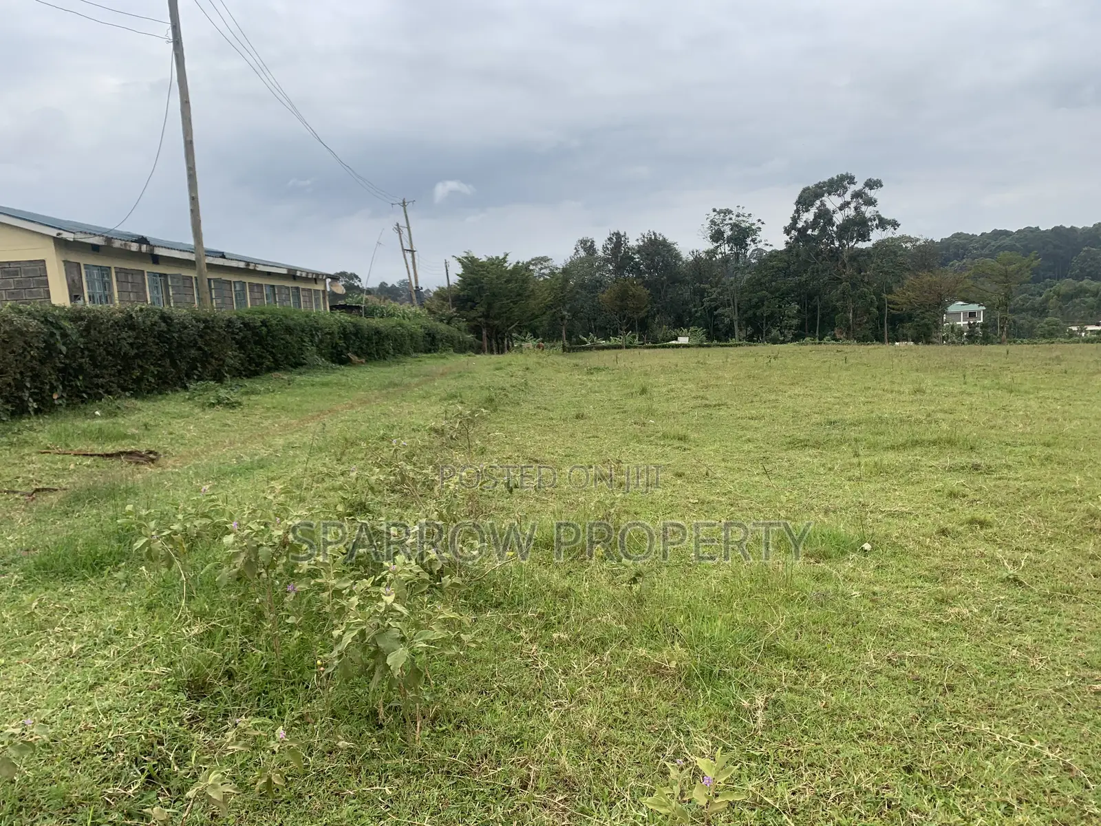 Kitale Town 3 Acre Plot for Sale