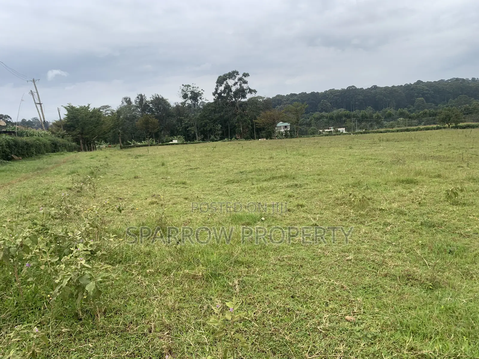 Kitale Town 3 Acre Plot for Sale