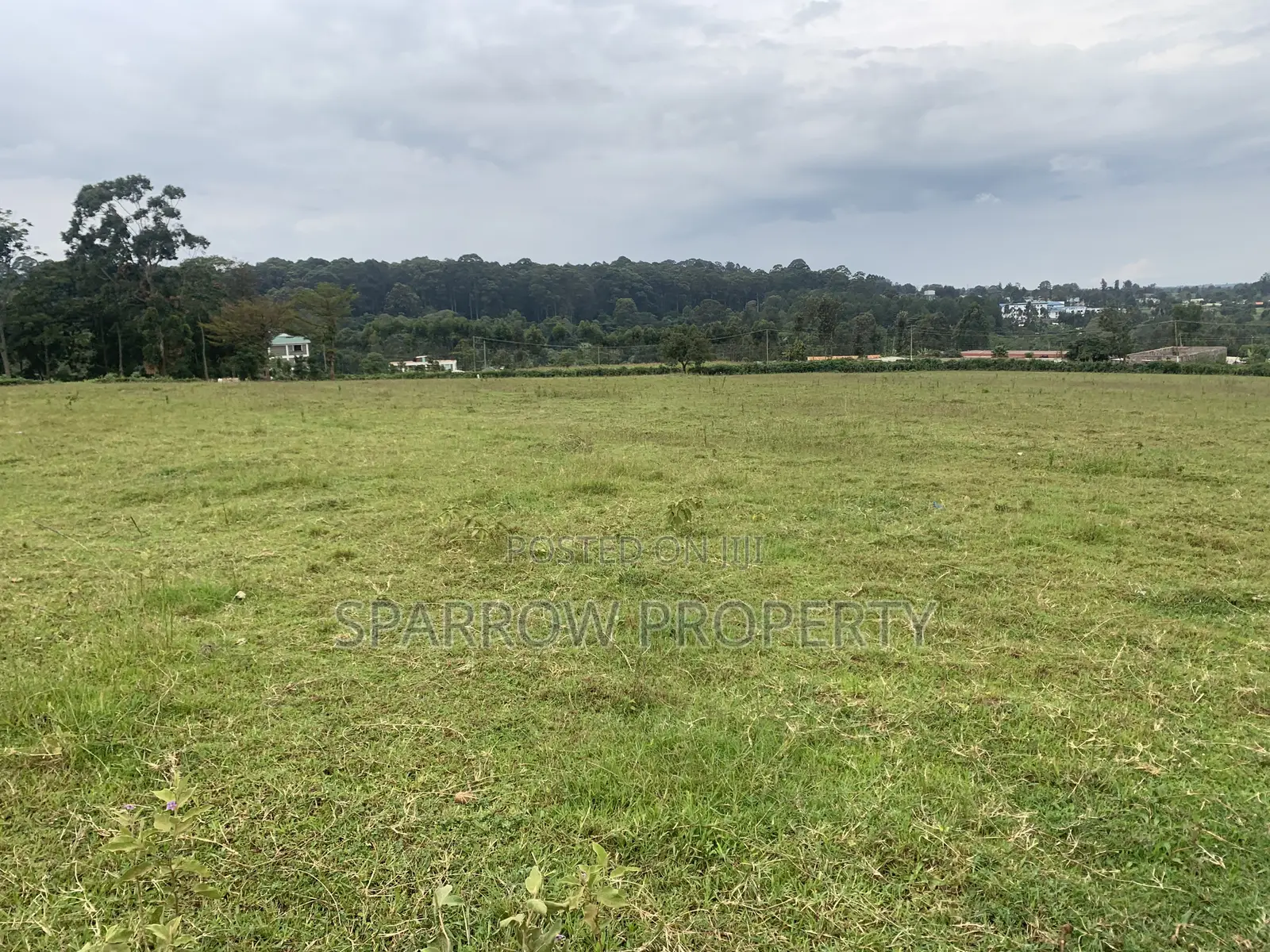 Kitale Town 3 Acre Plot for Sale
