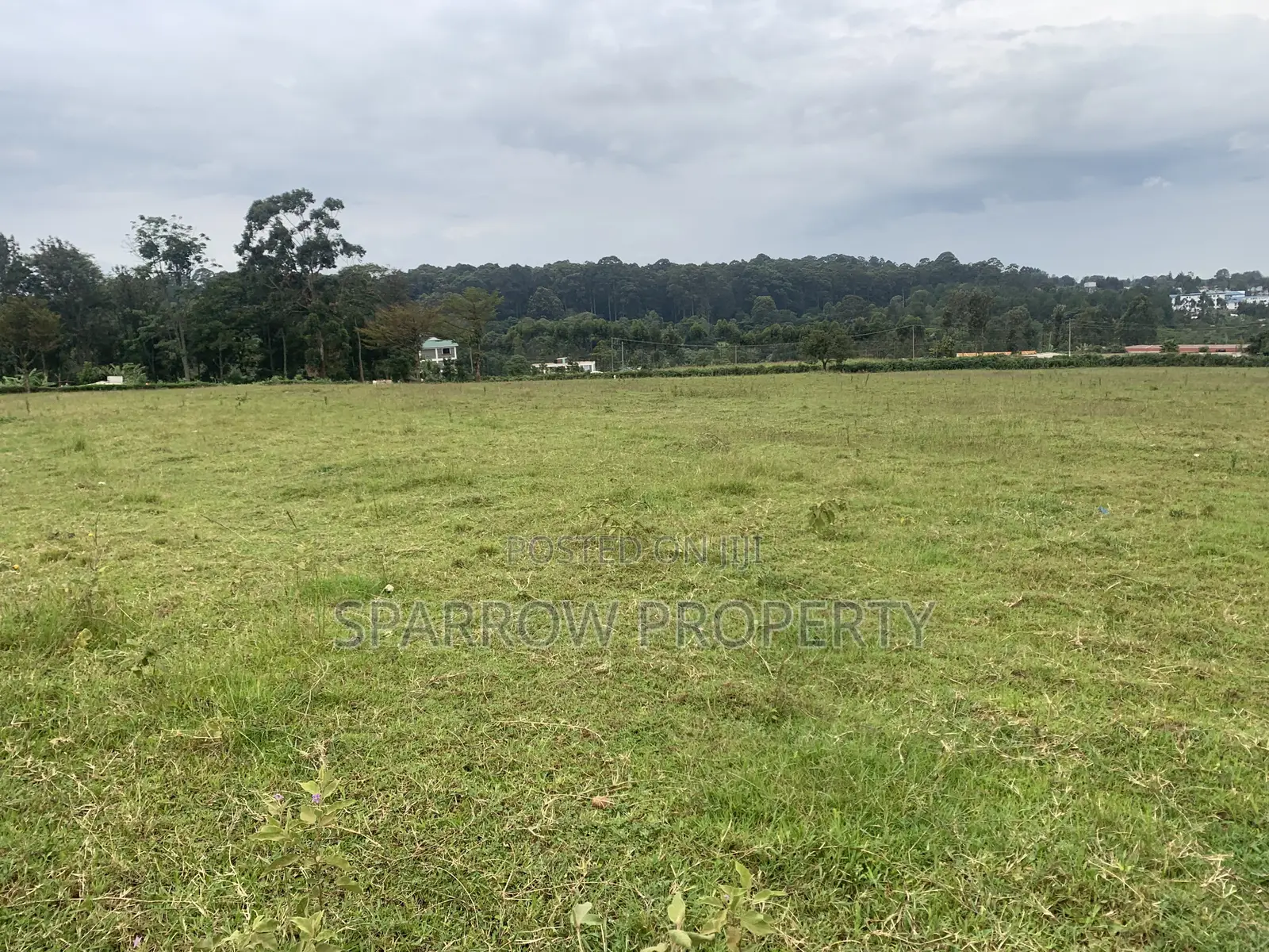Kitale Town 3 Acre Plot for Sale