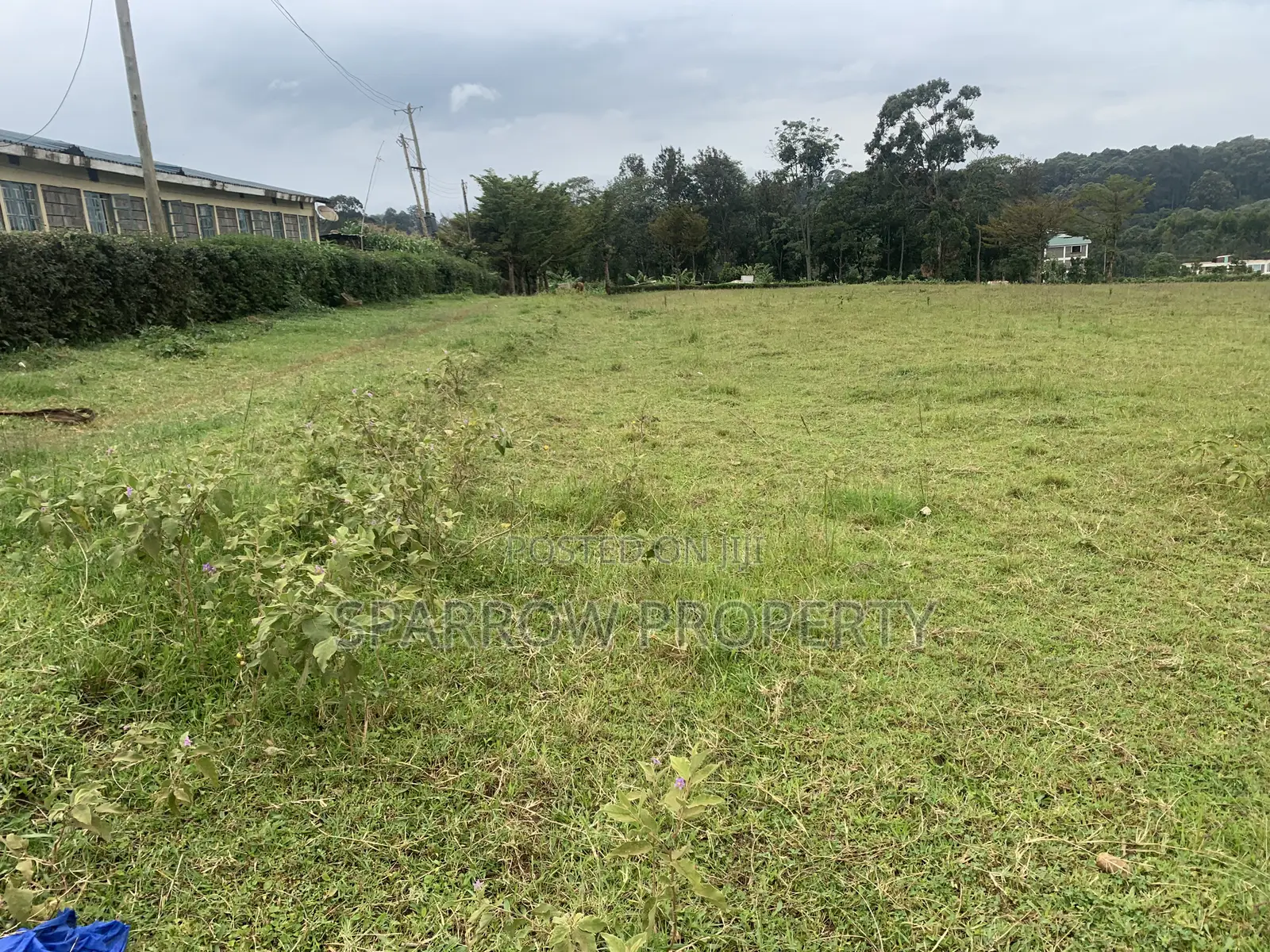 Kitale Town 3 Acre Plot for Sale