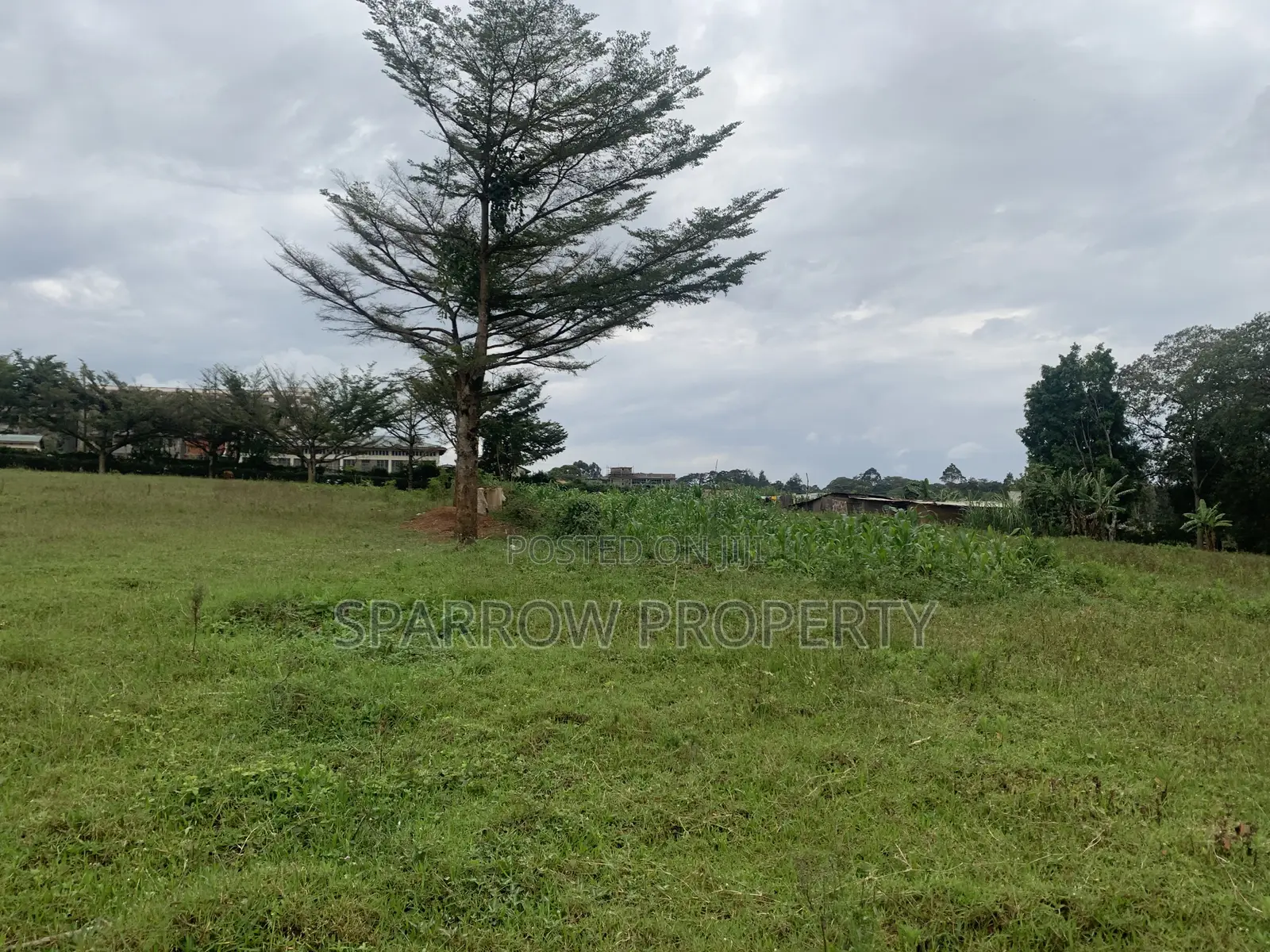 Kitale Town 3 Acre Plot for Sale