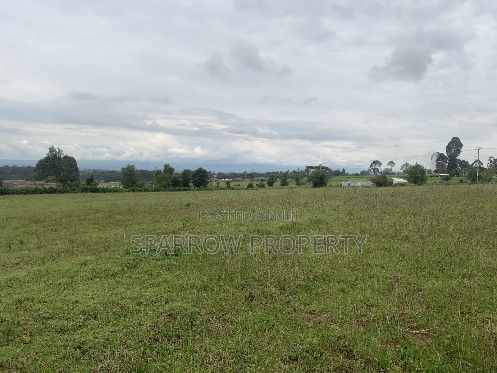 Kitale Town 3 Acre Plot for Sale
