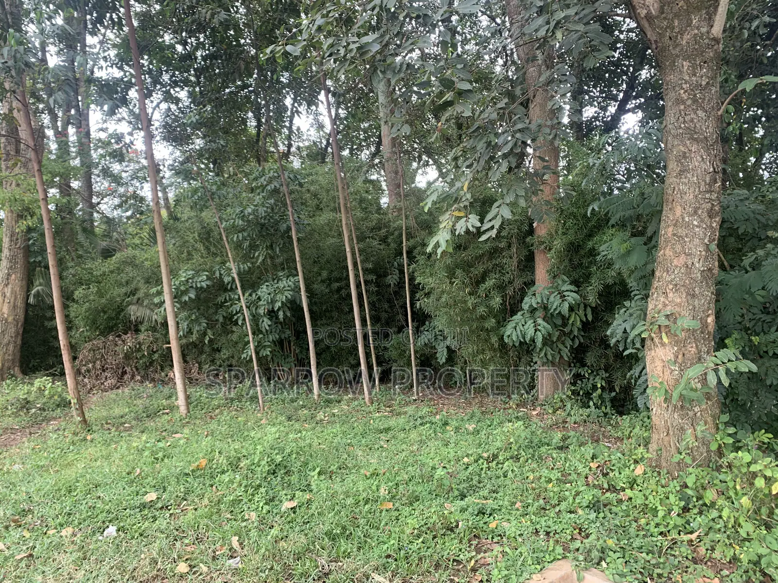 Kitale Town 3 Acre Plot for Sale