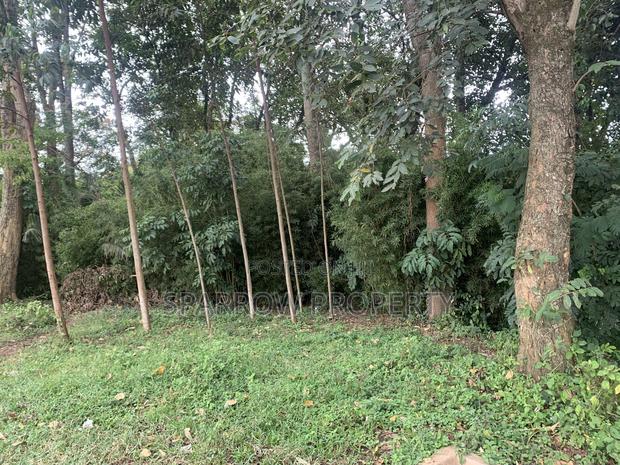 Kitale Town 3 Acre Plot for Sale - thumbnail 21
