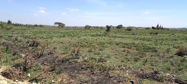 2acres for Sale. - thumbnail 3