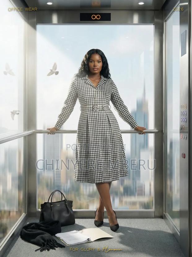 Long Sleeve Heavy Chiffon Office Dress - main view