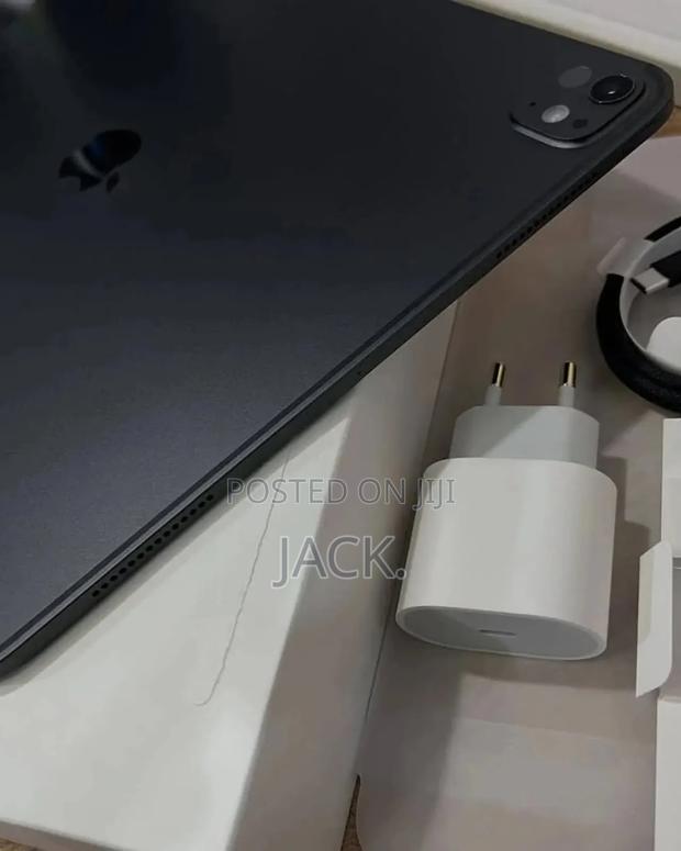Apple iPad Pro 13 (2024) 256 GB Gray - thumbnail 5