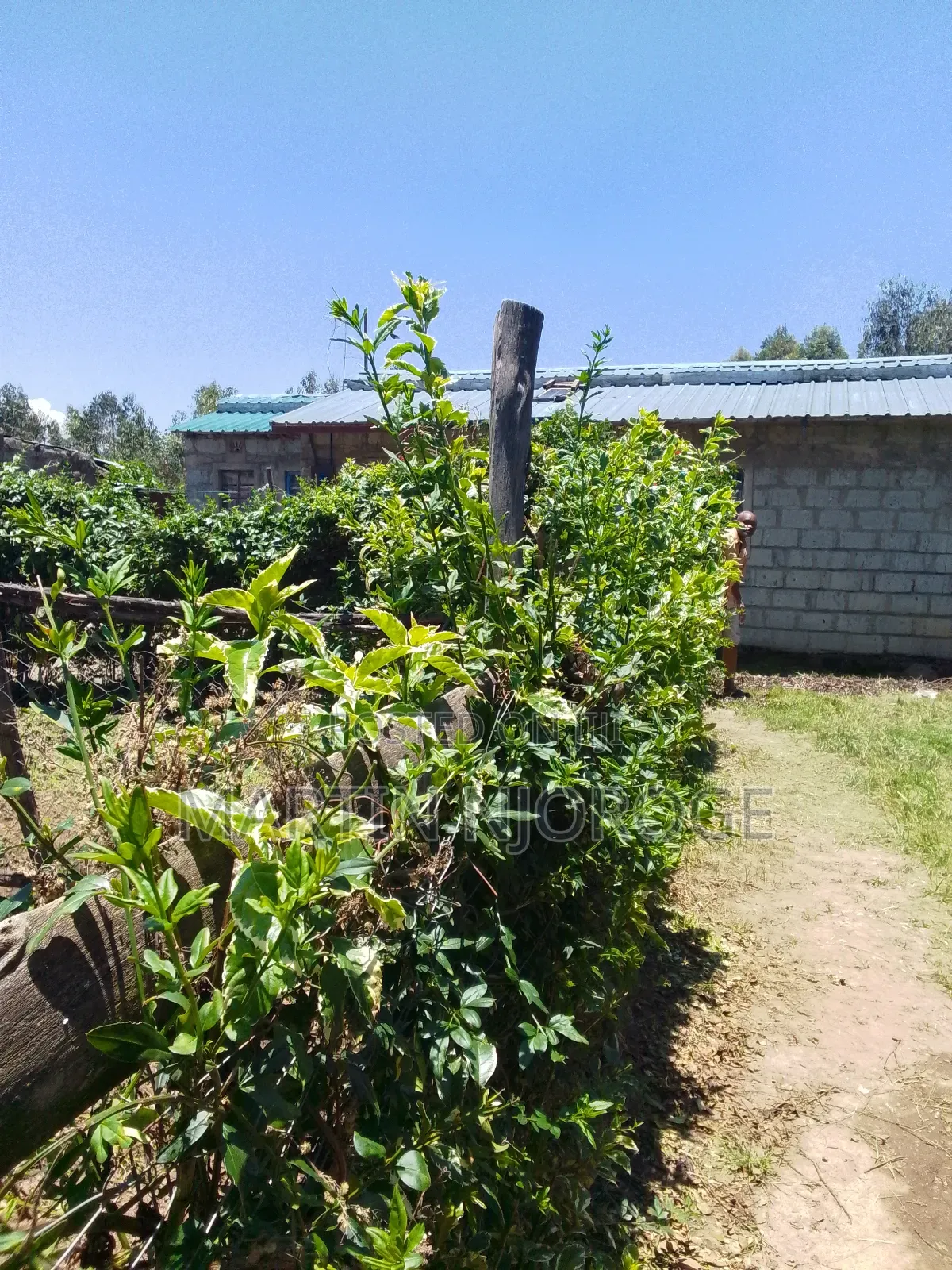 2bdrm House in Uplands, Lari/Kirenga for sale