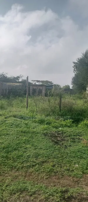 Plot for Sale in Ongata Rongai Kwa Balozi