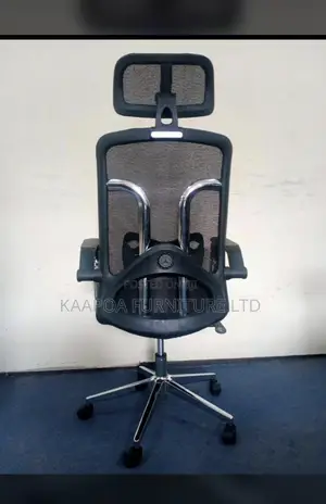 Metallic Orthopedic Office Chair