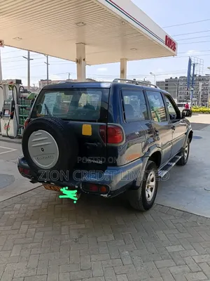 Nissan Terrano 2005 Blue
