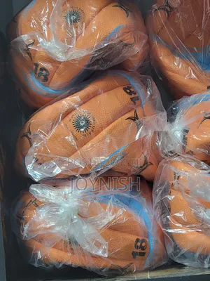Mikasa Netball Ball Best