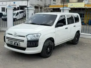 Toyota Probox 1.5 DX Comfort 2WD 2018 White