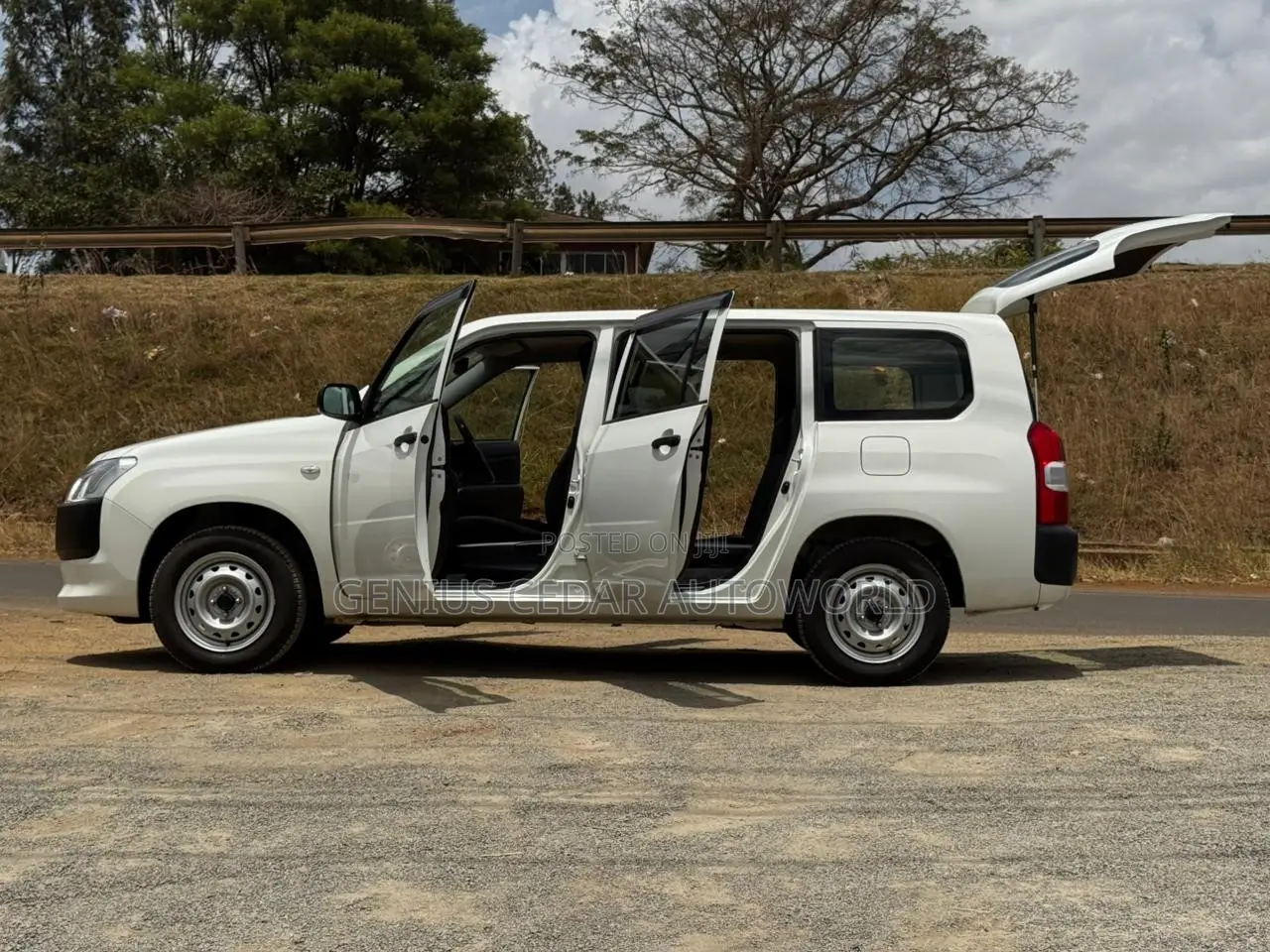 Toyota Probox 2019