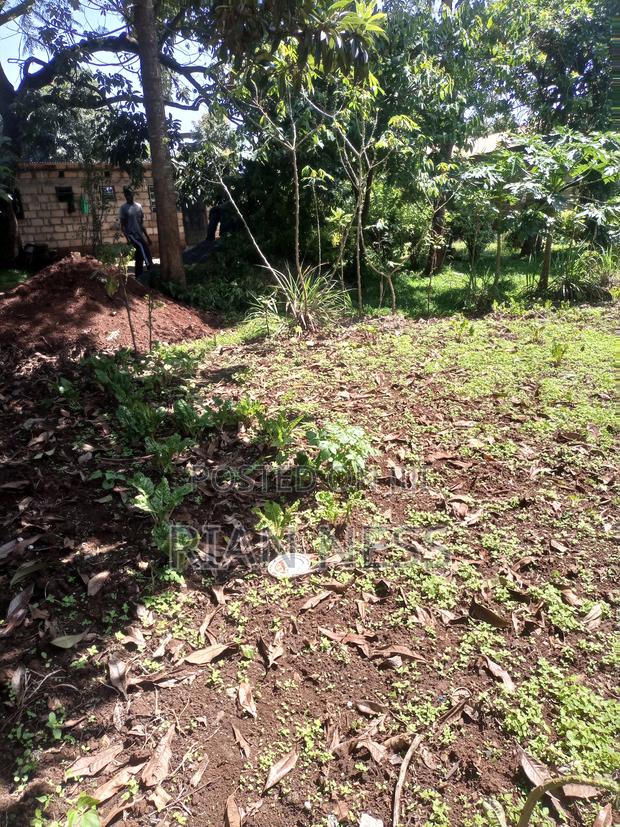 50/100 Prime Land for Sale With Ready Title Deed - thumbnail 3