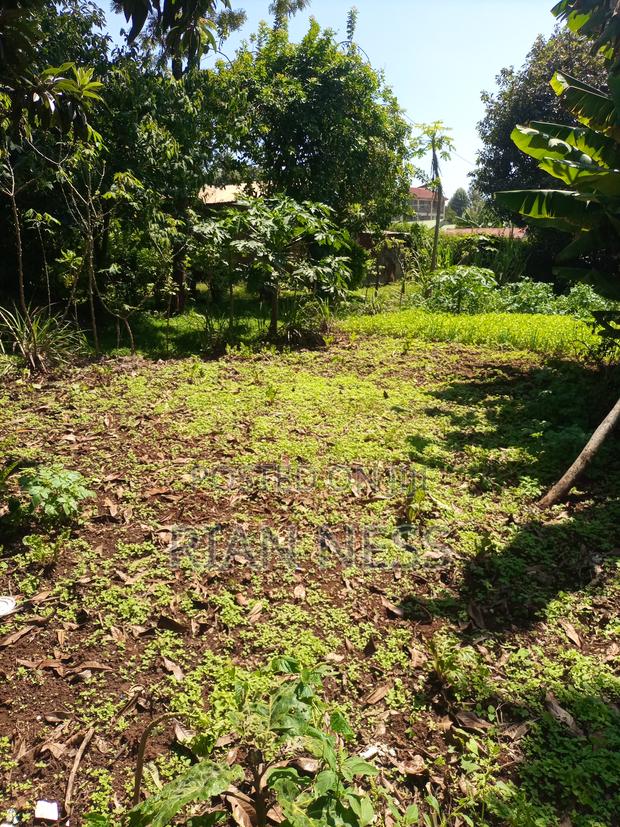 50/100 Prime Land for Sale With Ready Title Deed - thumbnail 4