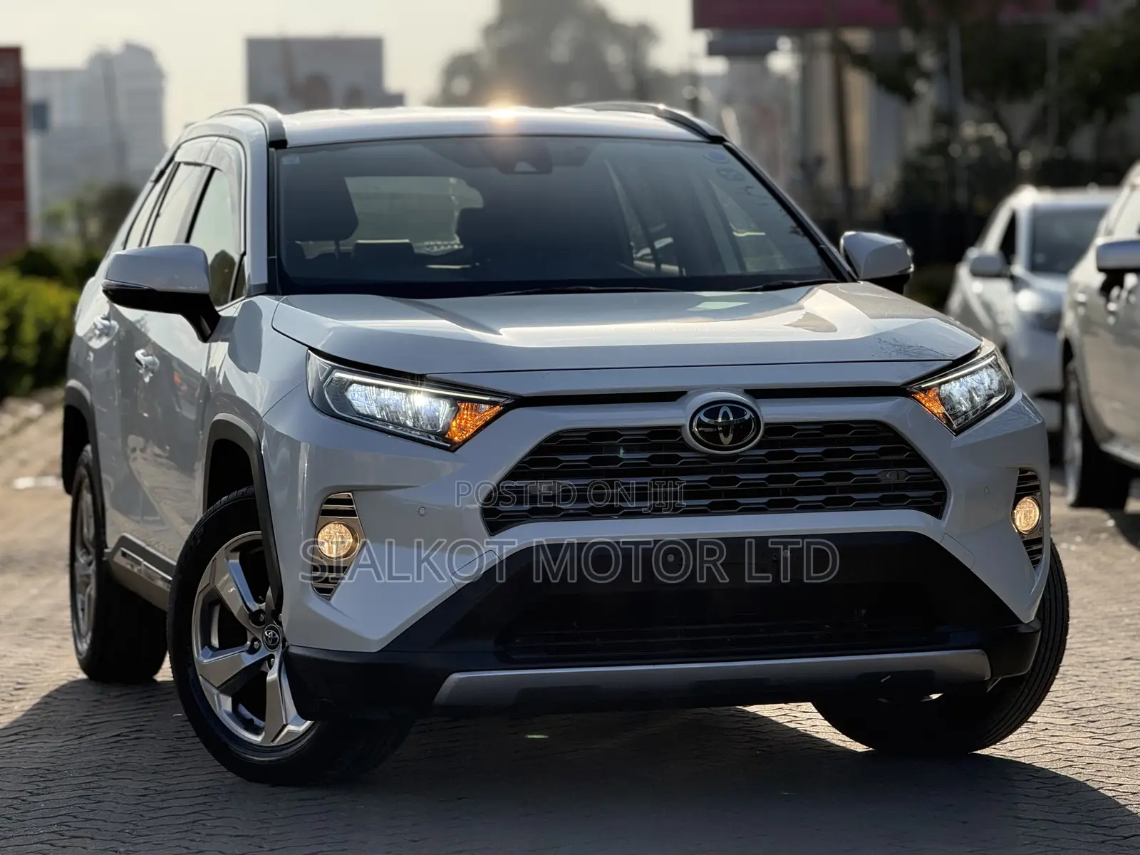 Toyota RAV4 Limited AWD 2019 White