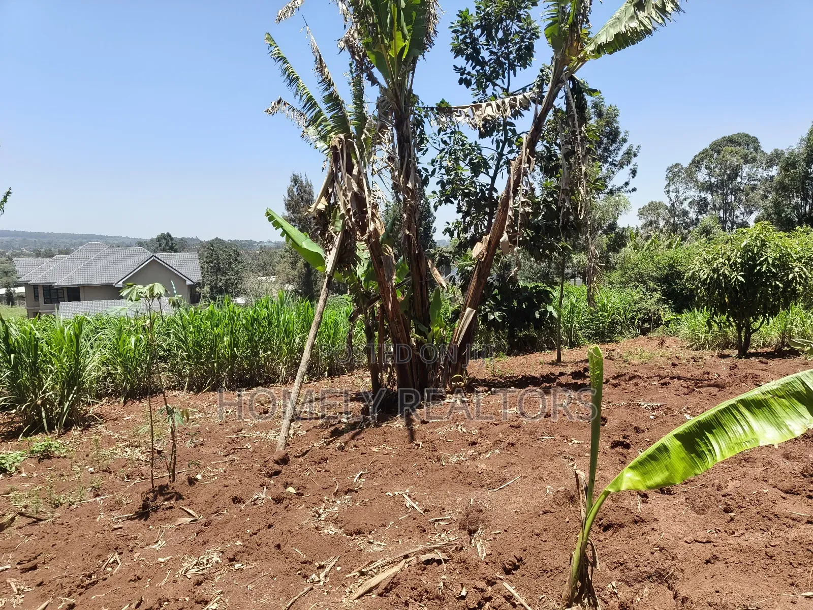 Red Soil Quarter Acre Plot for Sale in Kerarapon Drive. Scenic View