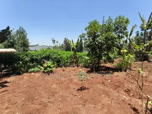 Red Soil Quarter Acre Plot for Sale in Kerarapon Drive. Scenic View