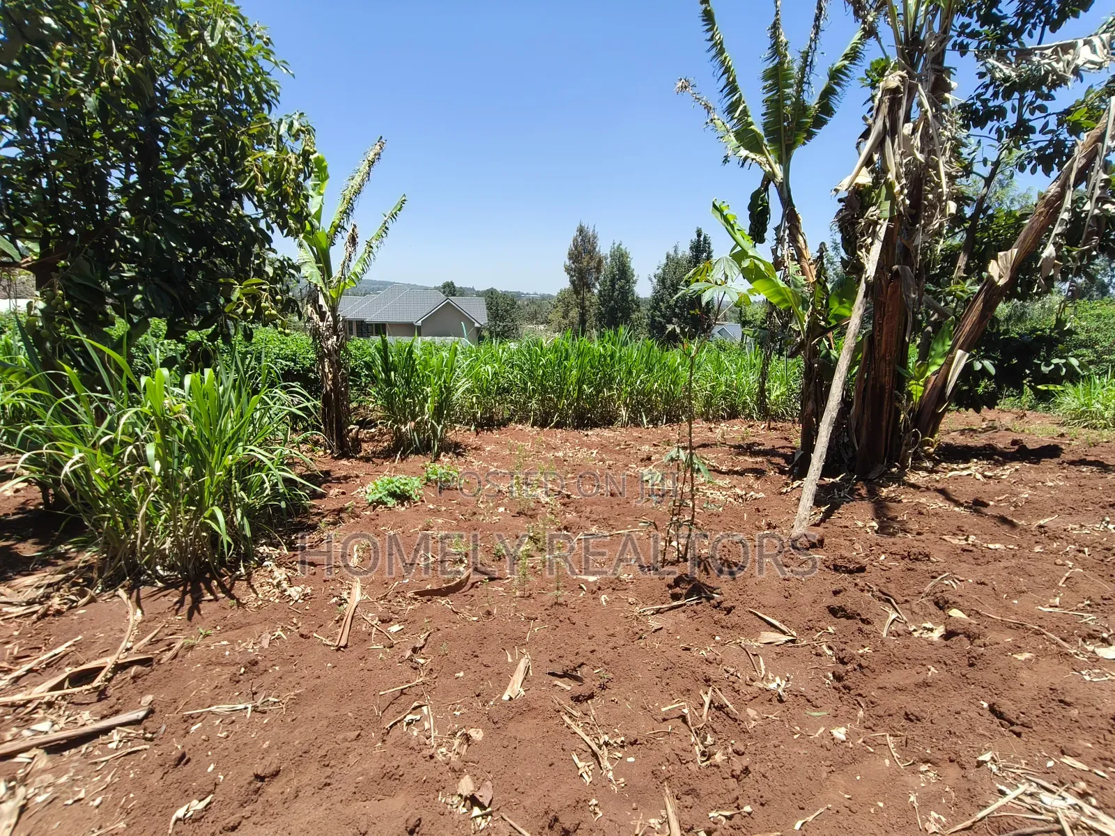 Red Soil Quarter Acre Plot for Sale in Kerarapon Drive. Scenic View