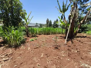 Red Soil Quarter Acre Plot for Sale in Kerarapon Drive. Scenic View