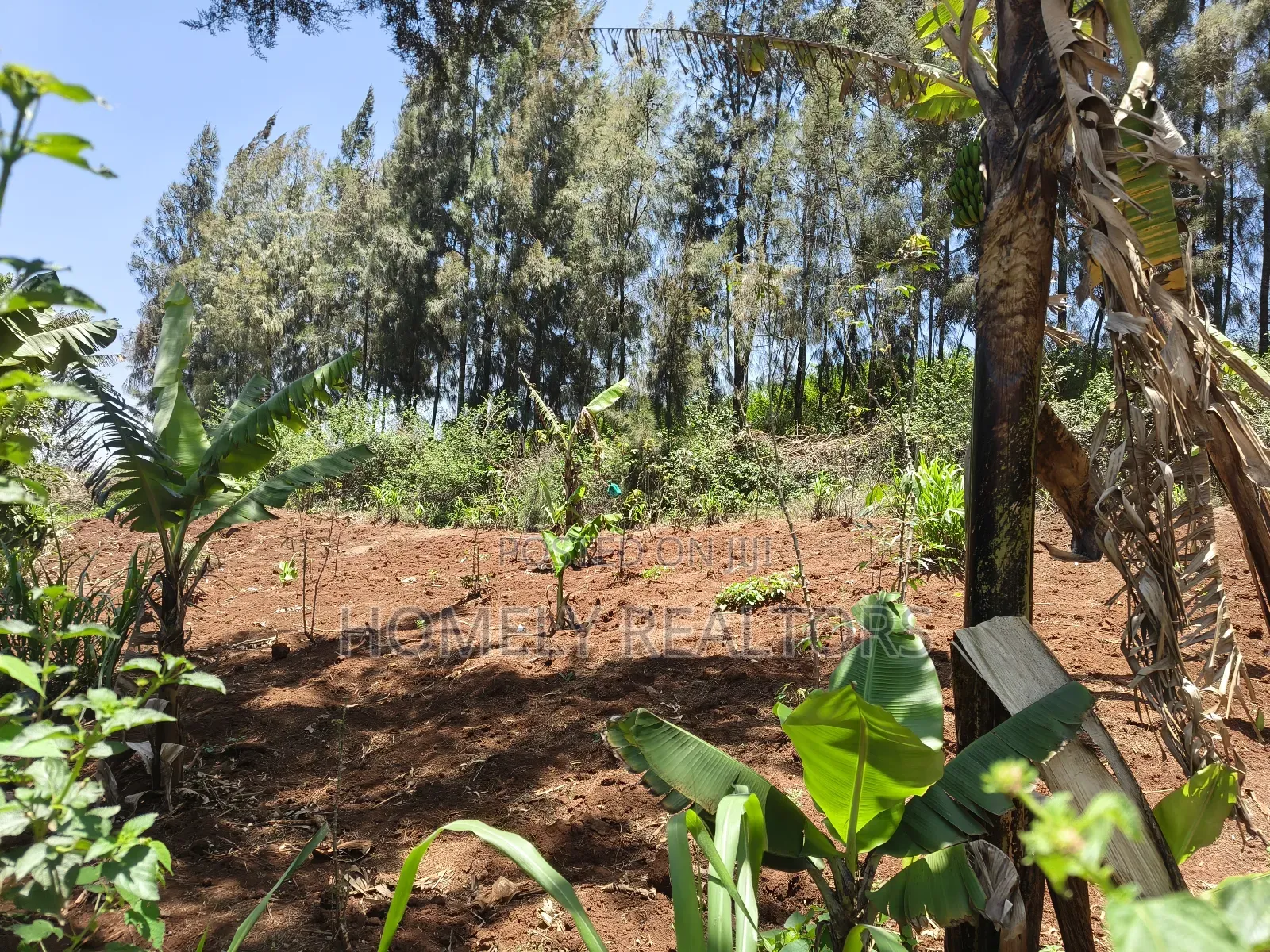 Red Soil Quarter Acre Plot for Sale in Kerarapon Drive. Scenic View
